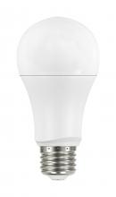 LED Bulbs