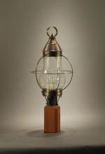 Northeast Lantern 2743-VG-MED-CLR - Caged Pear Post Verdi Gris Medium Base Socket Clear Glass