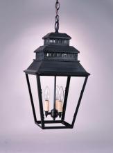 Northeast Lantern 8642-VG-MED-CLR - Hanging